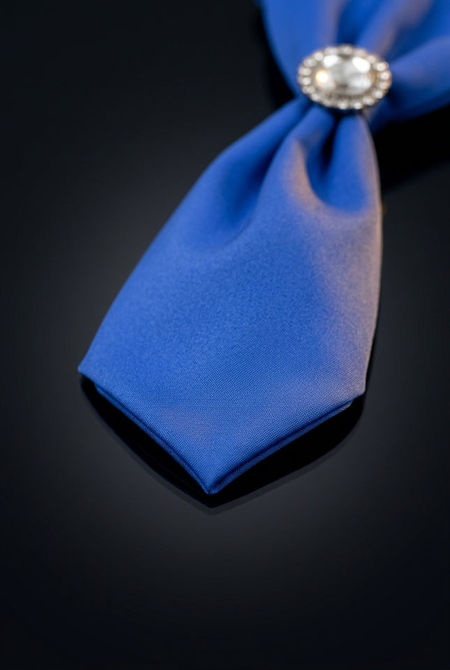 Jewel Ring Ascot Tie - Parliament - detail