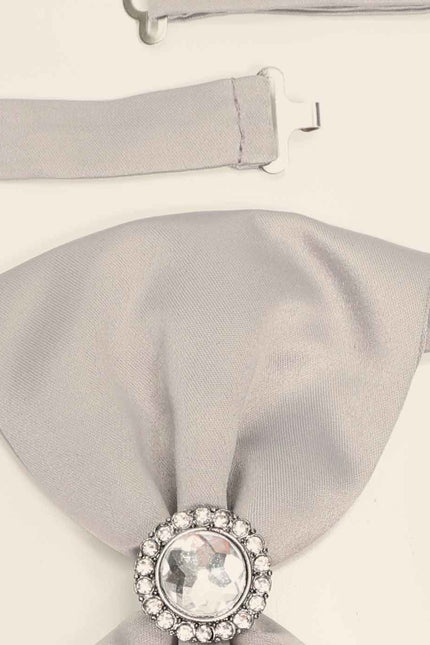 Ascot Tie With Jewel Ring - Light Grey