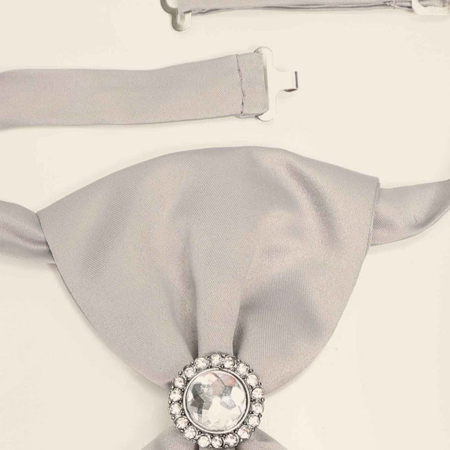 Ascot Tie With Jewel Ring - Light Grey