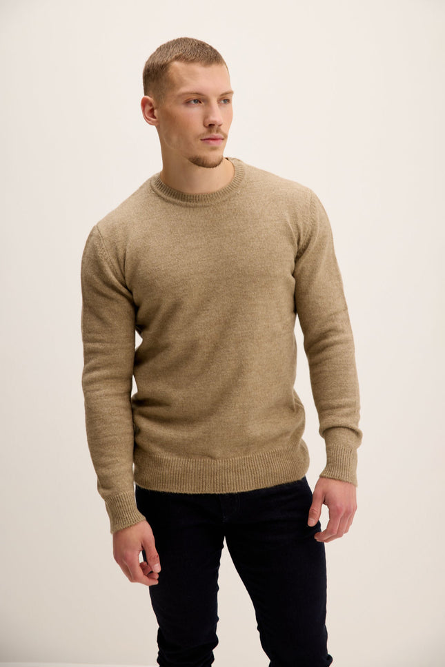 Men's Crew-Neck Sweater - Vizon | Ron Tomson