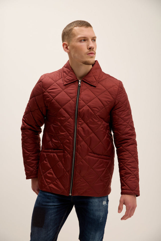 Men's Quilted Puffer Jacket - Tile | Ron Tomson