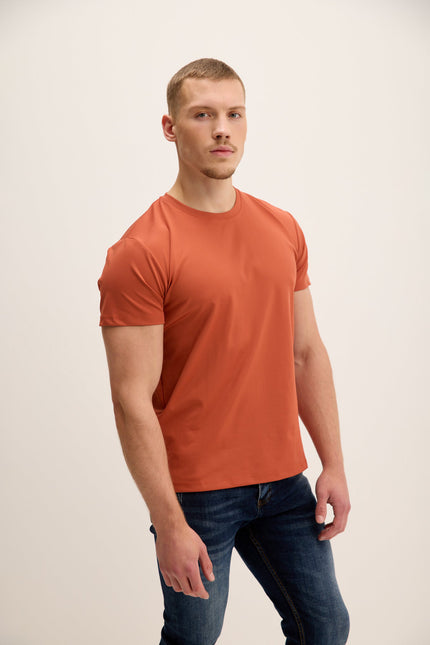 Men's Tailored Crew T-Shirt - Tile | Ron Tomson