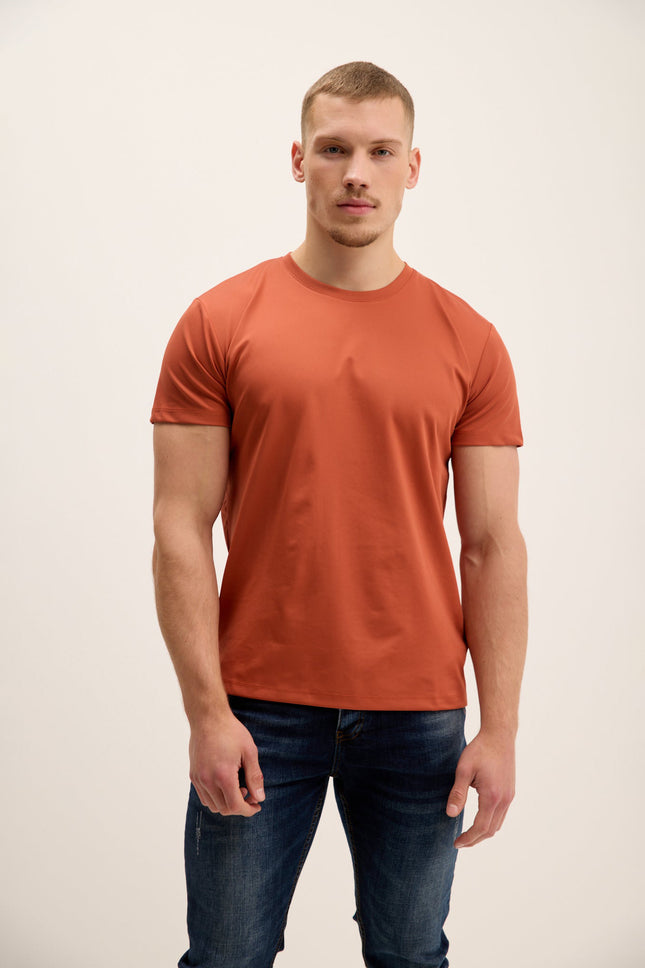 Men's Tailored Crew T-Shirt - Tile | Ron Tomson