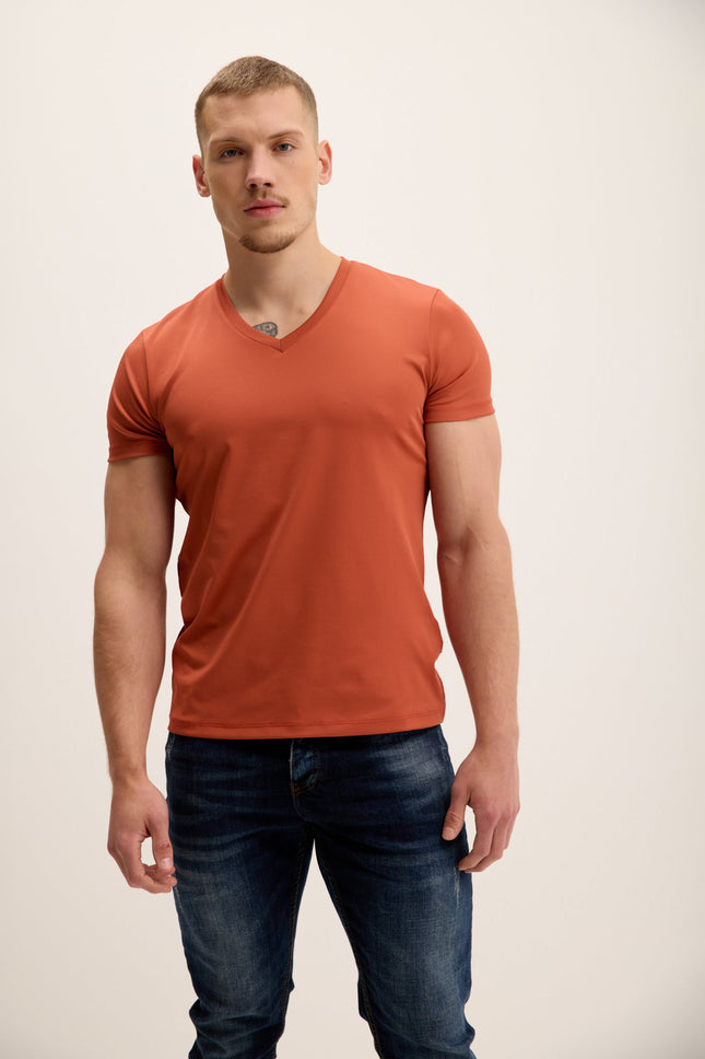 Men's V-neck Fitted Tee - Tile | Ron Tomson