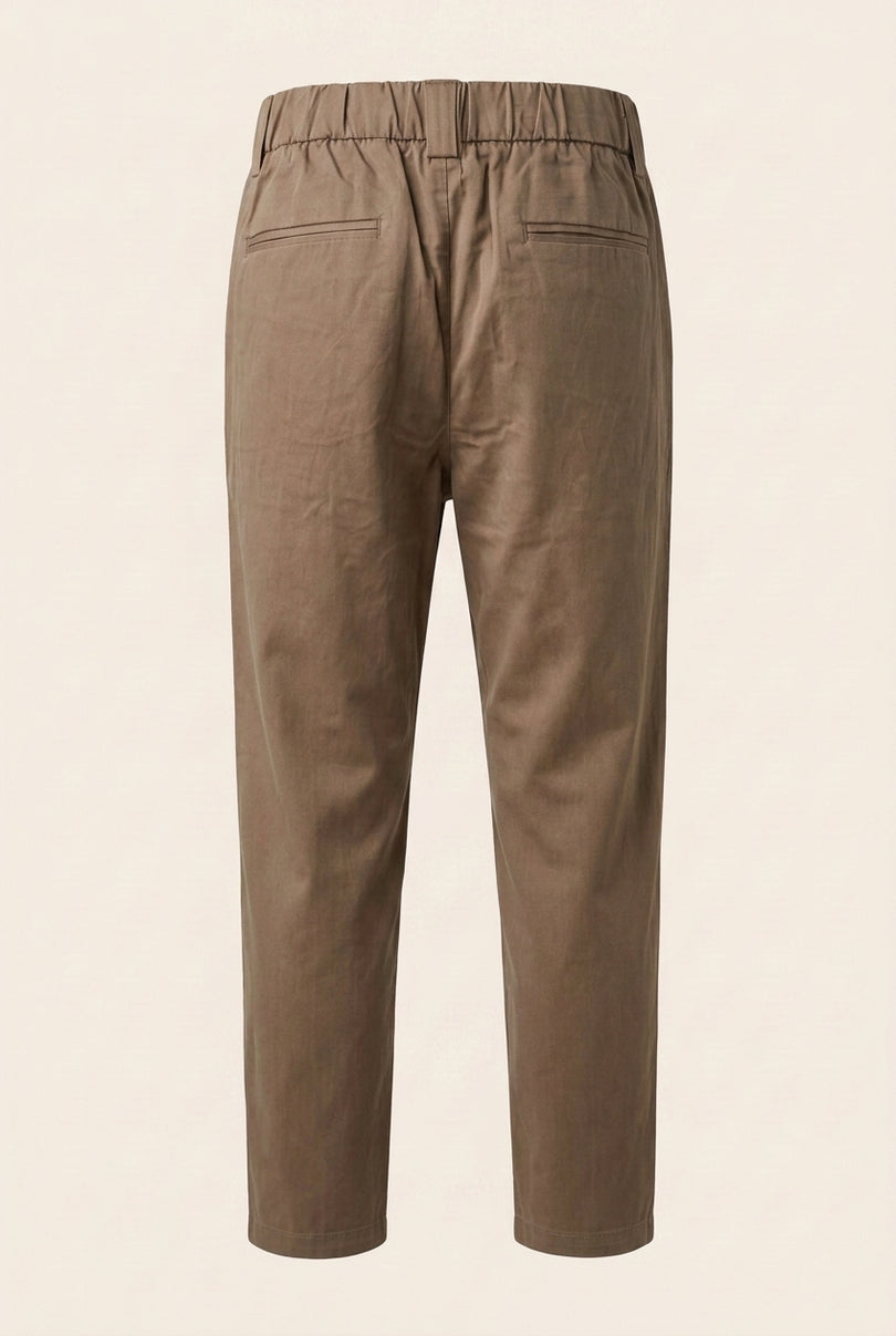 Pleated Trousers - Brown - Back