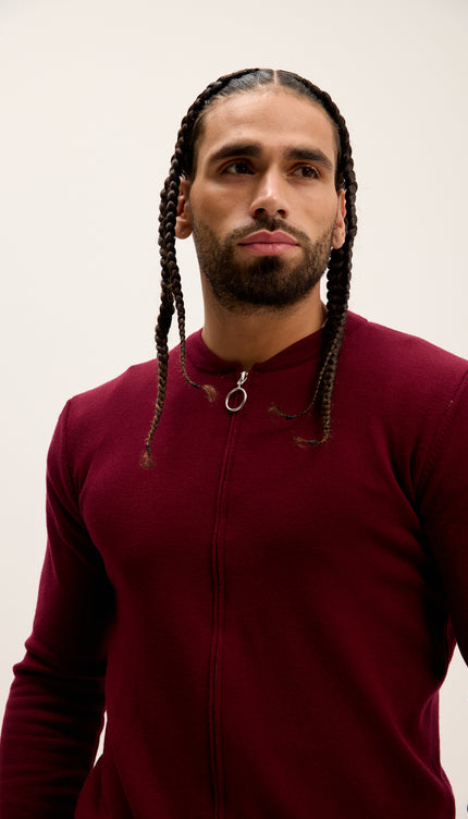 Man wearing a burgundy sweater with braided hair against a plain background