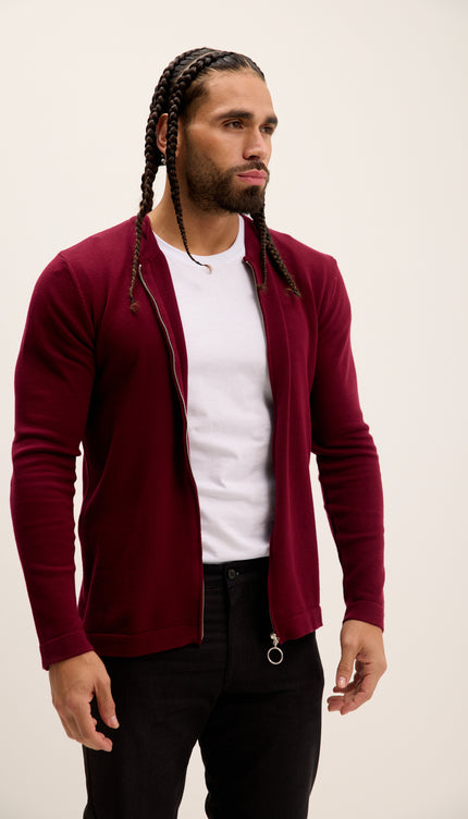 Man wearing a burgundy cardigan over a white shirt with a plain background
