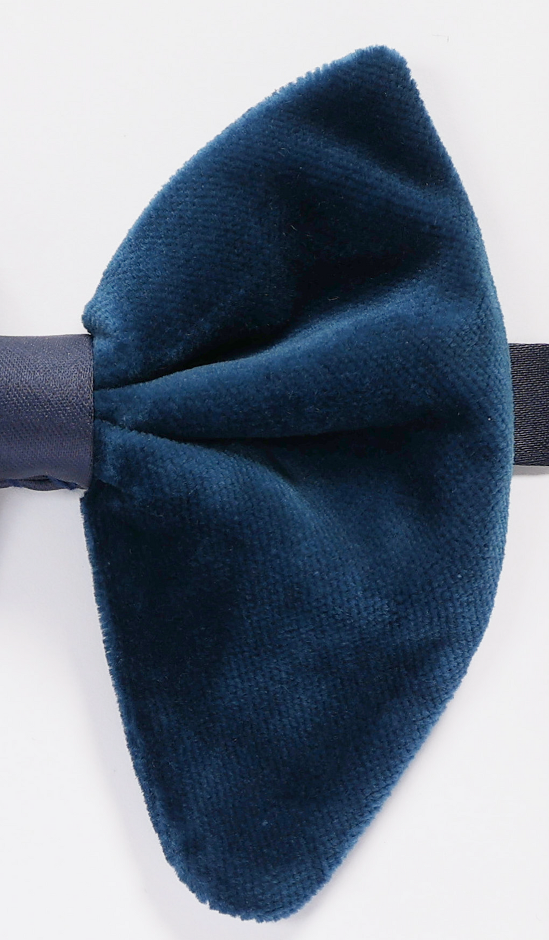 Cotton Velvet Pre-Tied Bow Tie - Turquoise