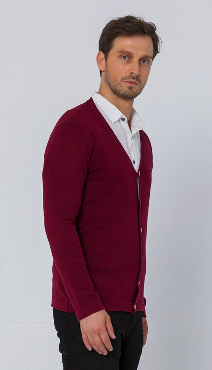 Classic V-neck Button Front Knit Shirt - Burgundy - Ron Tomson