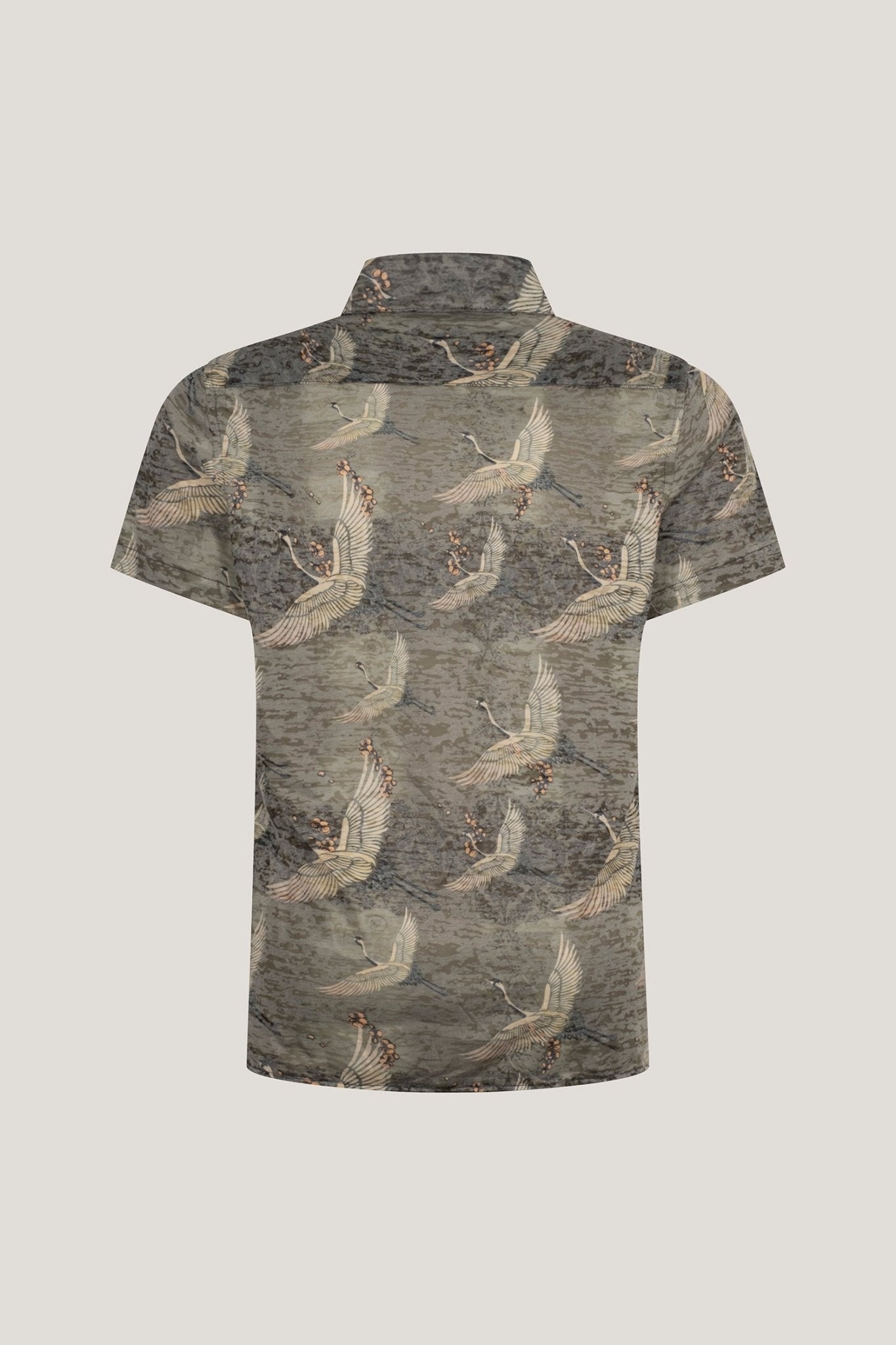 Collared Lightweight Shirt - Stork Green - Ron Tomson