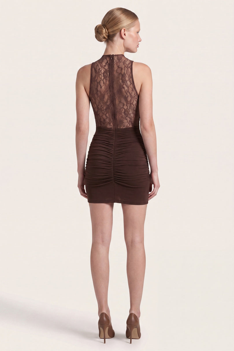 Lace and Stretch Mini Dress - Brown - back view