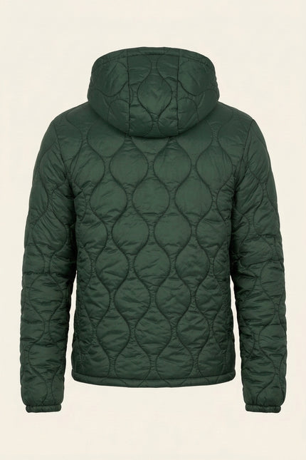 Padded Hooded Jacket - Green - Back