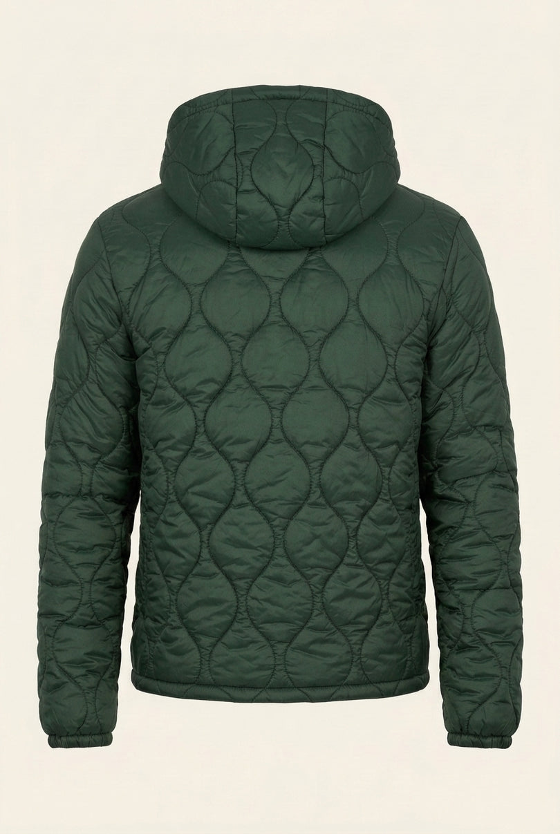 Padded Hooded Jacket - Green - Back