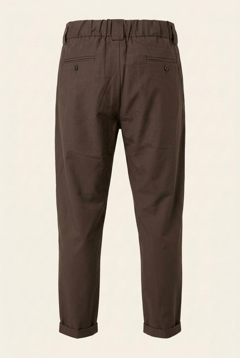Pleated Trousers - Brown - Back